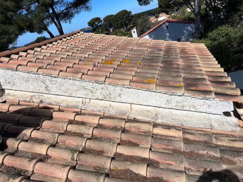 Toiture en tuiles romanes avant nettoyage